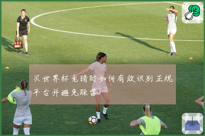 买世界杯竞猜时如何有效识别正规平台并避免踩雷