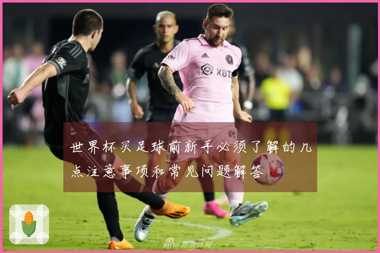 世界杯买足球前新手必须了解的几点注意事项和常见问题解答