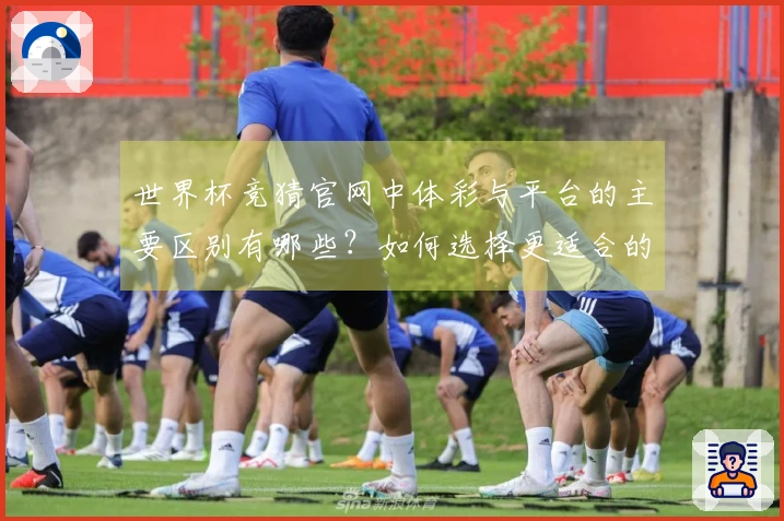 世界杯竞猜官网中体彩与平台的主要区别有哪些？如何选择更适合的投注方式？