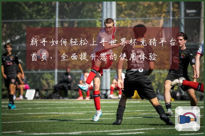 新手如何轻松上手世界杯竞猜平台首页，全面提升您的使用体验