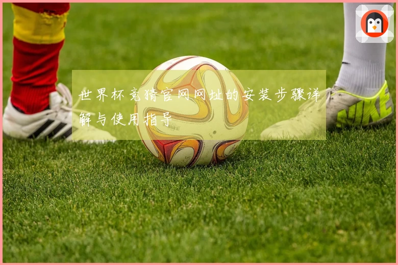 世界杯竞猜官网网址的安装步骤详解与使用指导