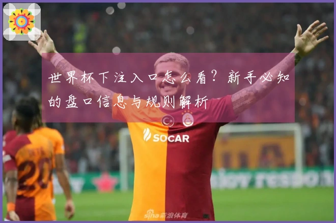 世界杯下注入口怎么看？新手必知的盘口信息与规则解析
