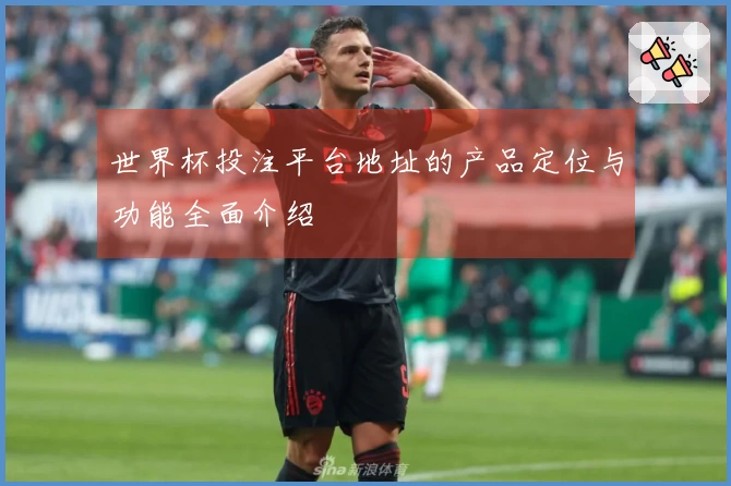 世界杯投注平台地址的产品定位与功能全面介绍