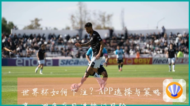 世界杯如何下注？APP选择与策略分享，避免盲目追热门风险