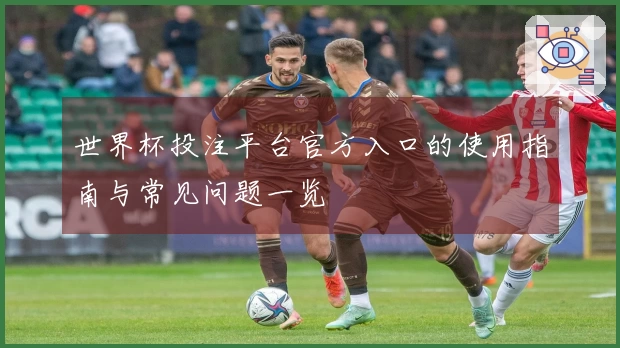 世界杯投注平台官方入口的使用指南与常见问题一览