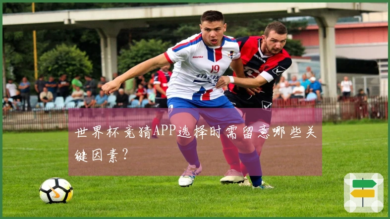世界杯竞猜APP选择时需留意哪些关键因素？