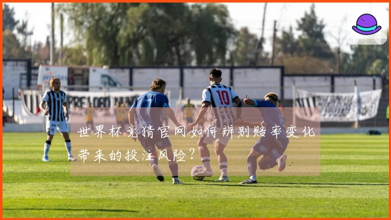 世界杯竞猜官网如何辨别赔率变化带来的投注风险？