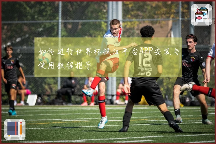 如何进行世界杯投注平台APP安装与使用教程指导