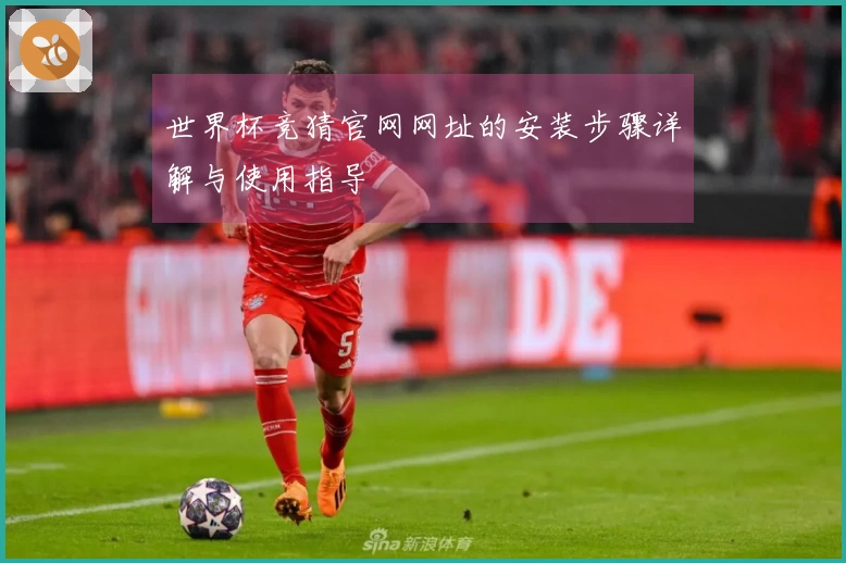 世界杯竞猜官网网址的安装步骤详解与使用指导
