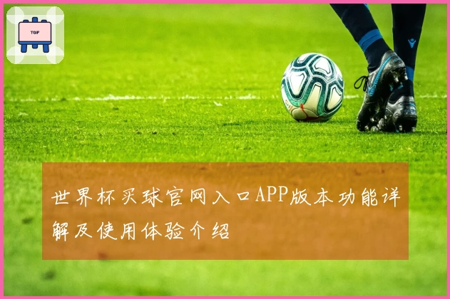 世界杯买球官网入口APP版本功能详解及使用体验介绍