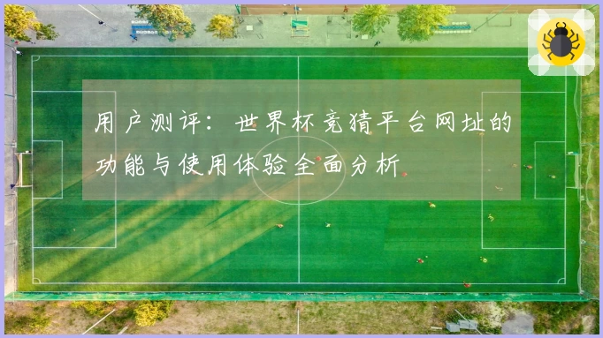 用户测评:世界杯竞猜平台网址的功能与使用体验全面分析