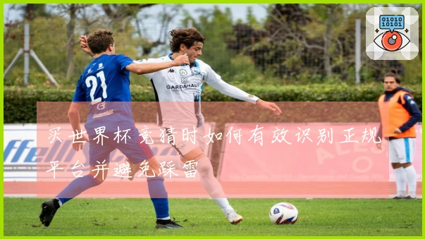买世界杯竞猜时如何有效识别正规平台并避免踩雷