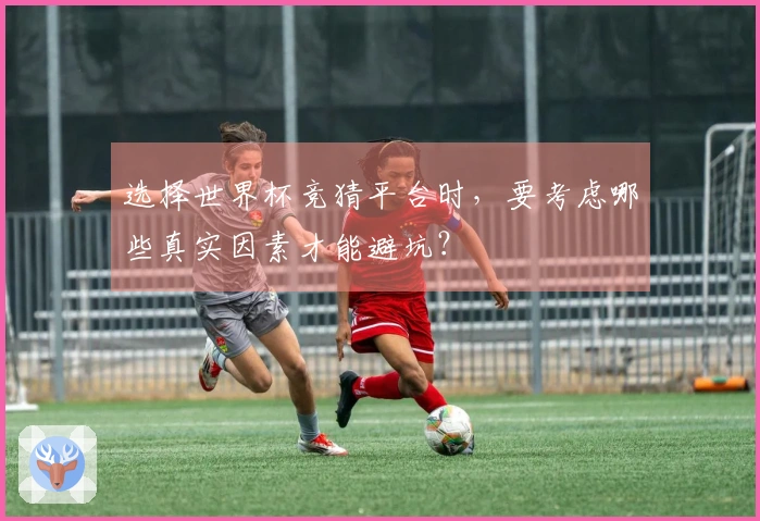 选择世界杯竞猜平台时，要考虑哪些真实因素才能避坑？