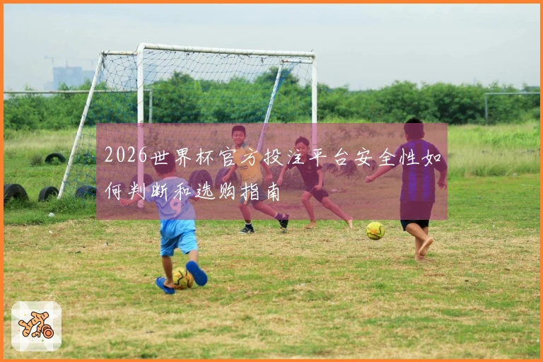 2026世界杯官方投注平台安全性如何判断和选购指南