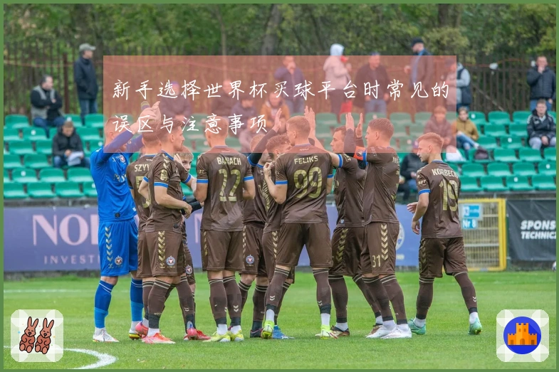 新手选择世界杯买球平台时常见的误区与注意事项