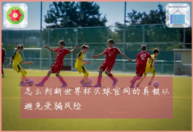 怎么判断世界杯买球官网的真假以避免受骗风险